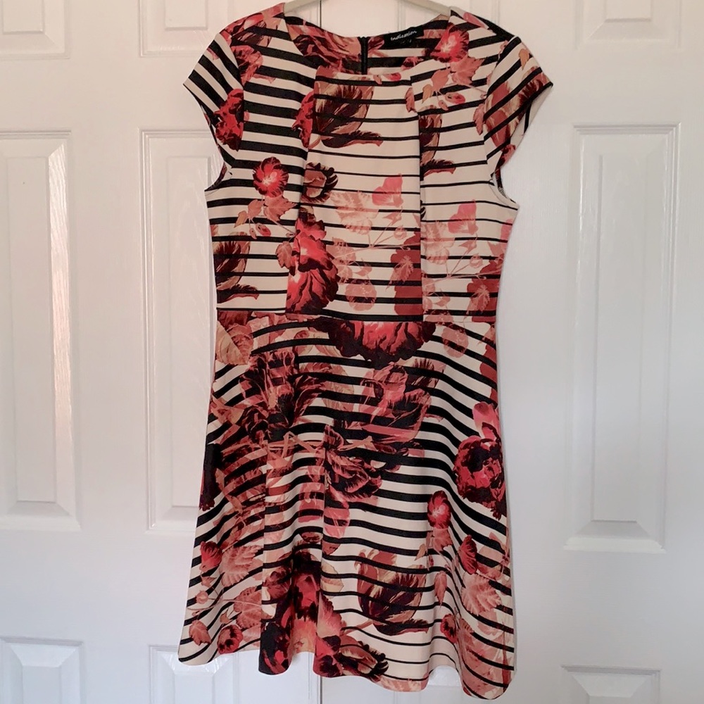 Floral Striped Dress